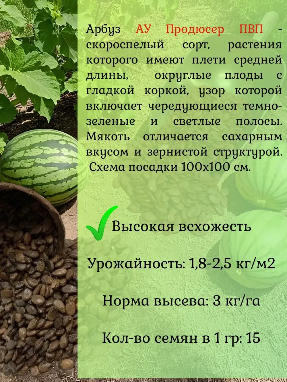 Семена Арбуз набор