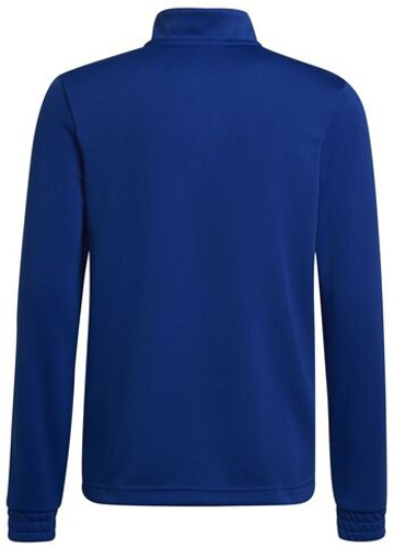 Кофта для мальчика теннисная Adidas Kids Entrada 22 Training Top - небесный