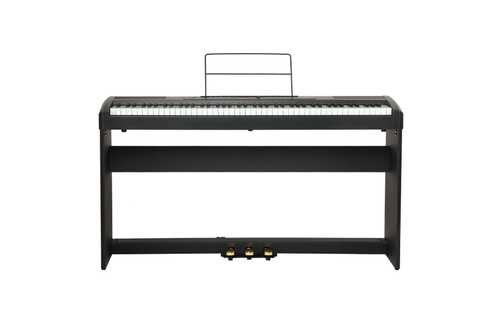 rp-25_with_stand_front_-557891656.jpg