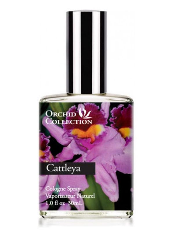 Demeter Fragrance Cattleya Orchid