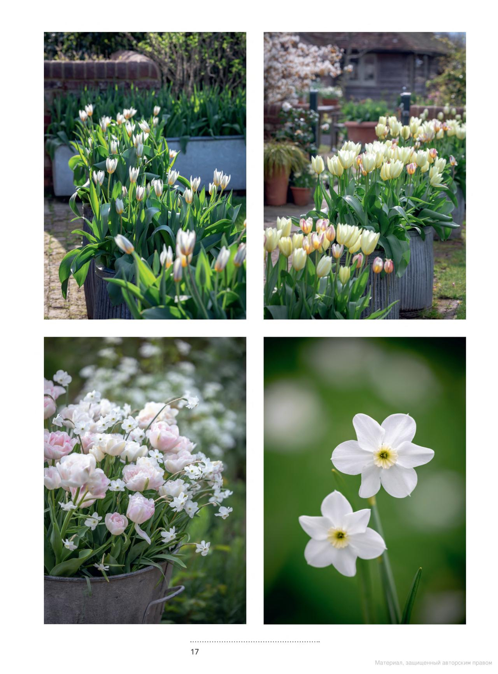 A Year Full of Pots: Container Flowers for All Seasons