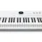 Arturia AstroLab 88 White
