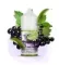ELFLIQ - Blackcurrant Aniseed (5% nic, 30ml)