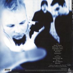 Evanescence. Fallen (LP)