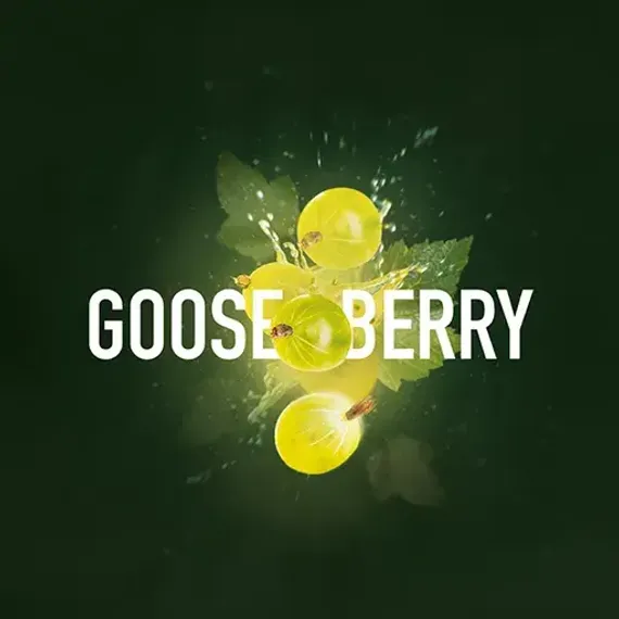 Must Have - Gooseberry