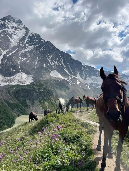 🏔 Тур «Кавказ: легенды, вкусы и вершины» с «Дашестан» 🏔 Тур «Кавказ: легенды, вкусы и вершины» с «Дашестан»