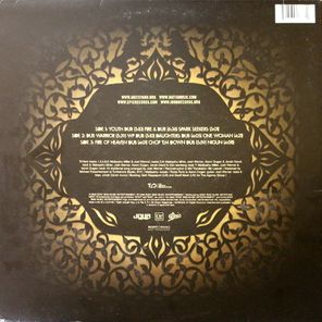 Matisyahu / Youth Dub (2LP)