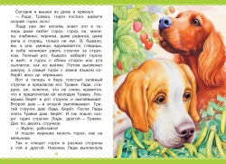 Рассказы