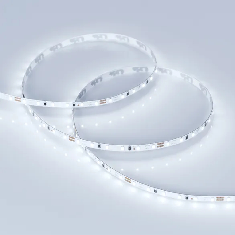 Светодиодная лента MICROLED-5000 24V Cool 8K 4mm (2216, 120 LED/m, LUX) (Arlight, 9.6 Вт/м, IP20) 024409