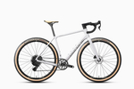 Borant OMNI II WHALEROAD R7 1x14 (2027)