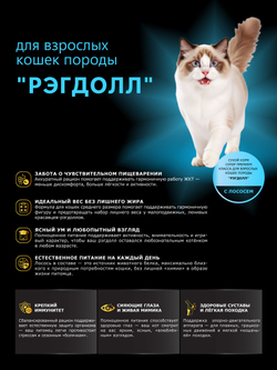 Корм сухой для взрослых кошек породы Рэгдолл, с лососем, 400 гр, QUATTRO