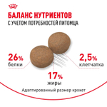 Royal Canin Maxi Adult 5+ Макси Эдалт Корм сухой для взрослых собак крупных пород старше 5 лет 15кг