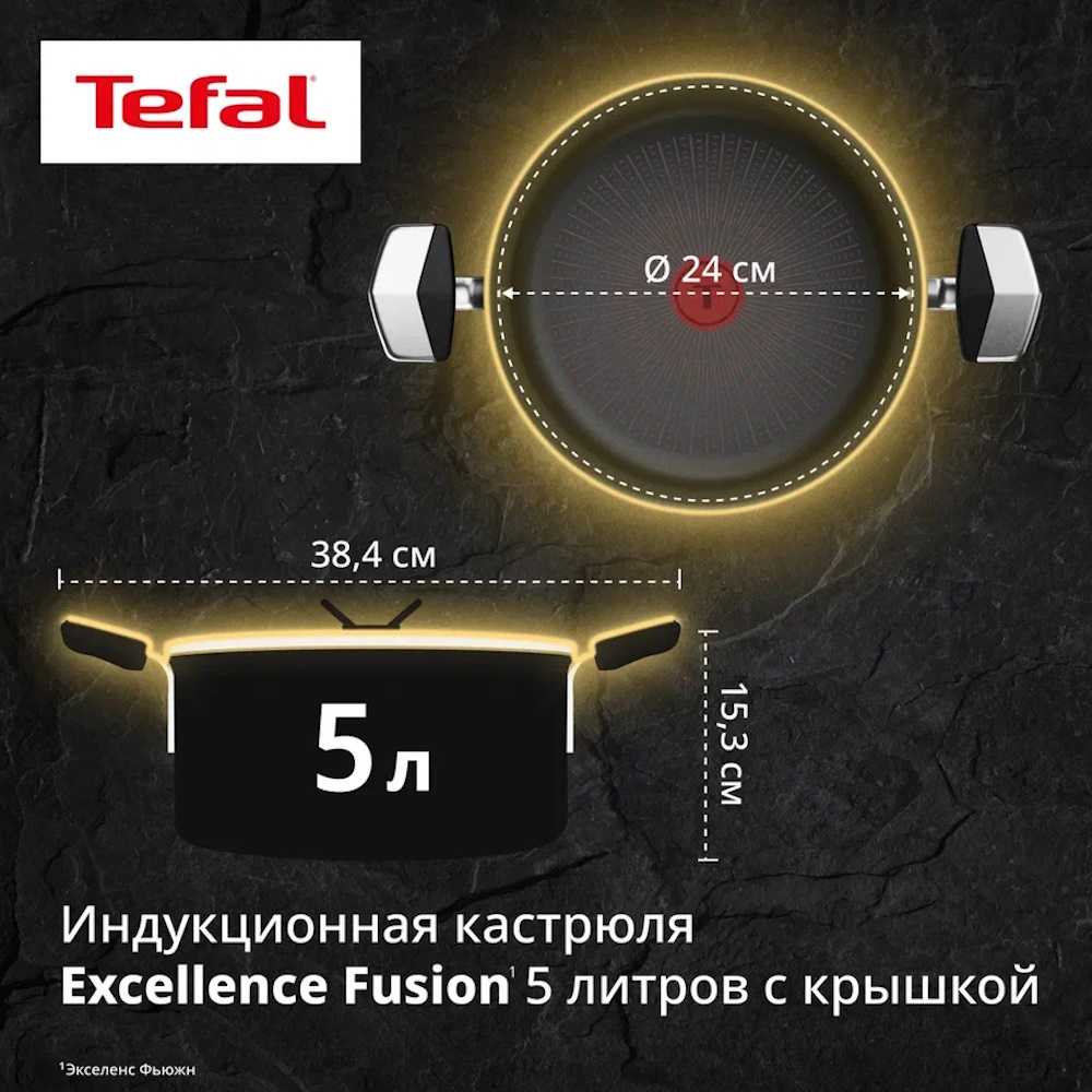 Кастрюля с крышкой Tefal Excellence Fusion 24 см G3414602