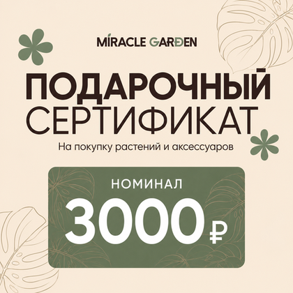 Подарочный сертификат на 3000 руб.