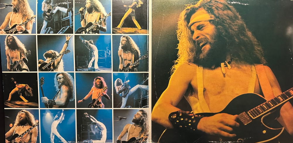 Ted Nugent ‎– Double Live Gonzo! 2LP (Голландия 1978г.)