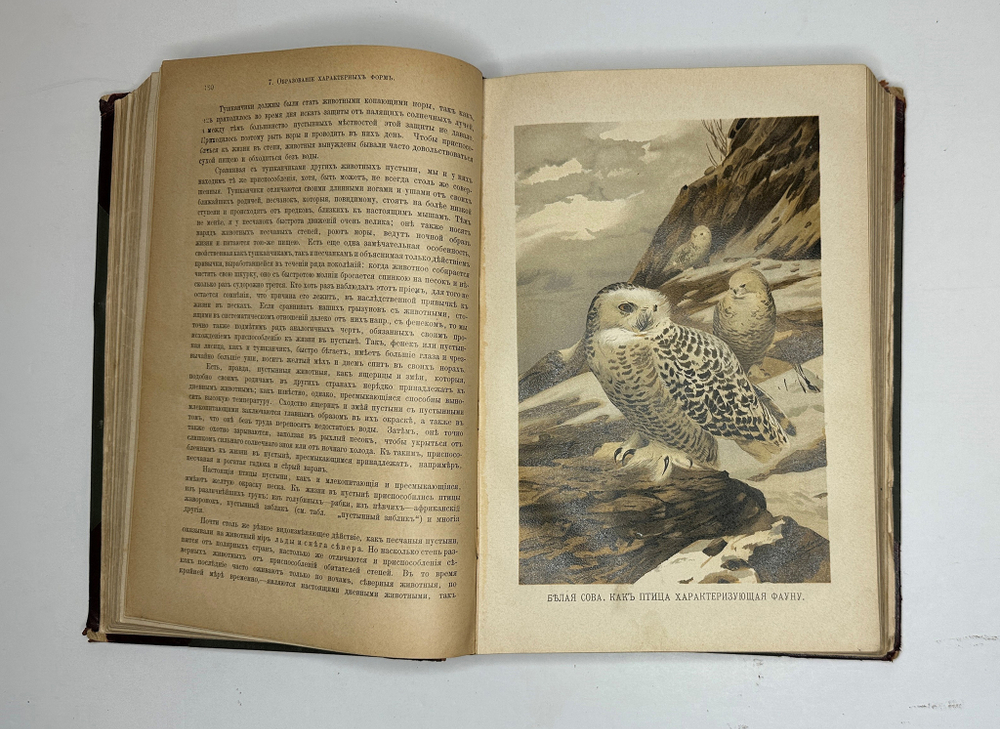 Гааке В. Происхождение животного мира, СПБ., Книгоиздательское Тов-во "Просвящение"1900г.