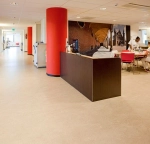 marmoleum real