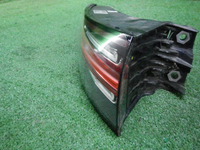 DSCN7203.JPG