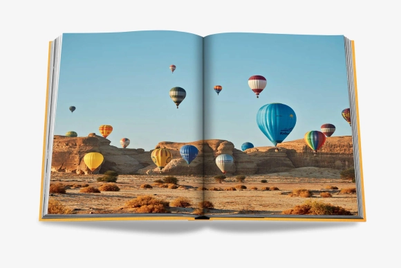 Книга ASSOULINE Alula Ever