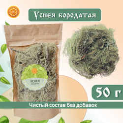Уснея бородатая (лишайник)
