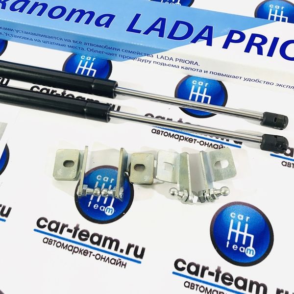 Газовые упоры капота на Лада Приора