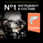 Сухой корм PRO PLAN SENSITIVE SKIN для взрослых собак средних пород с чувствительной кожей лосось 7 кг