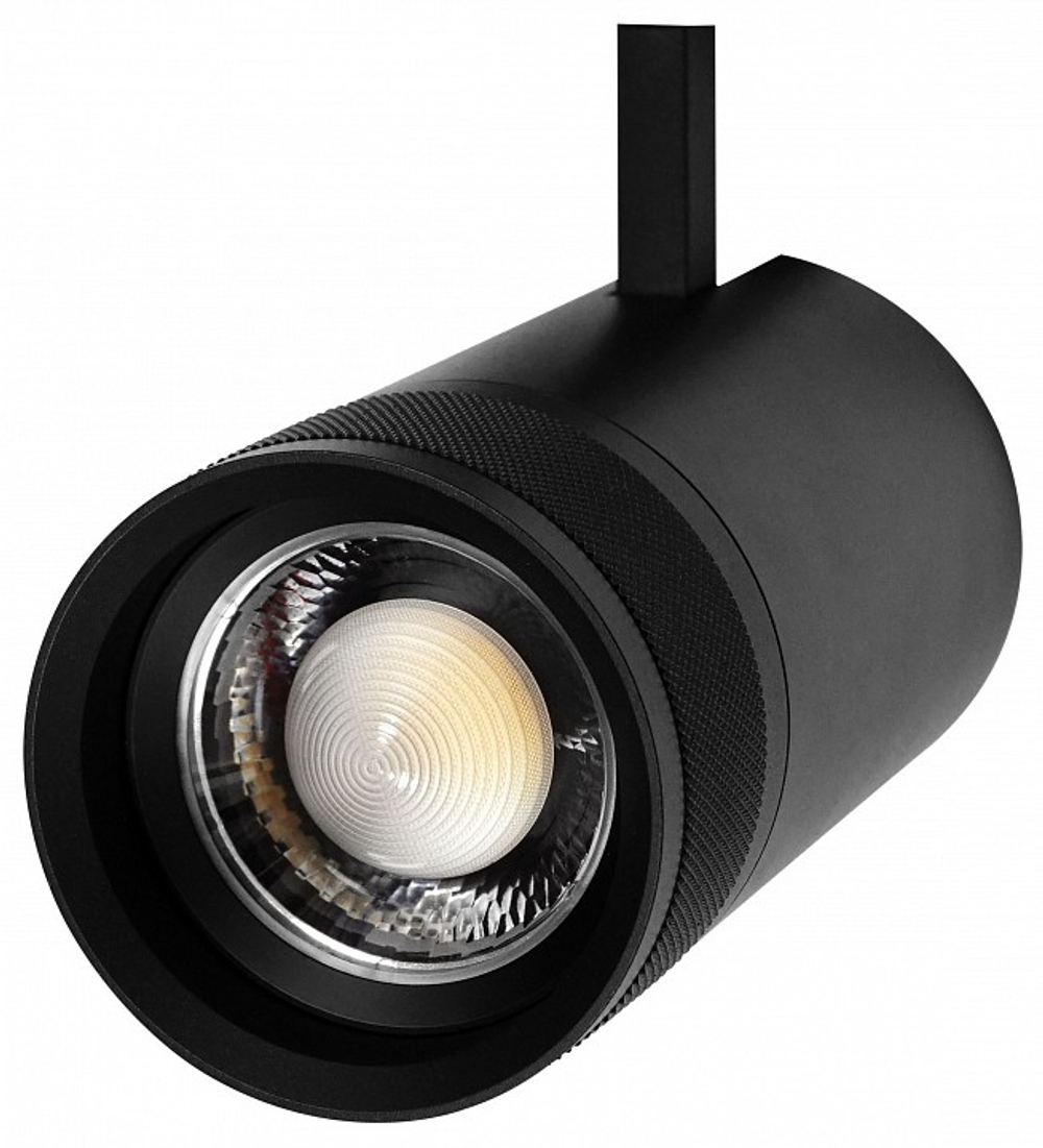 Светильник на штанге Lightstar Canno Pro 304407