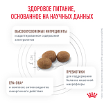 Royal Canin Gastrointestinal Гастроинтестинал Корм сухой диета для взрослых собак при расстройствах пищеварения 2кг