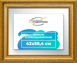 Зеркало настенное в раме 42x59,4