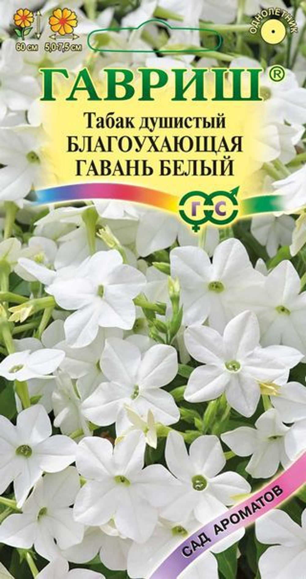 Табак Благоухающая гавань белый F1 душистый 5 шт гавриш
