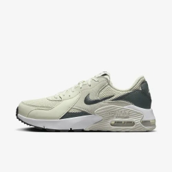Кроссовки женские NIKE WMNS NIKE AIR MAX EXCEE