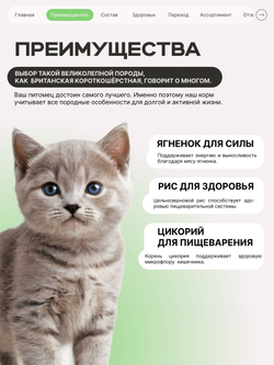 Корм сухой для котят породы Бурманская, с ягненком, 400 гр, QUATTRO