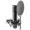 SE Electronics SE2200