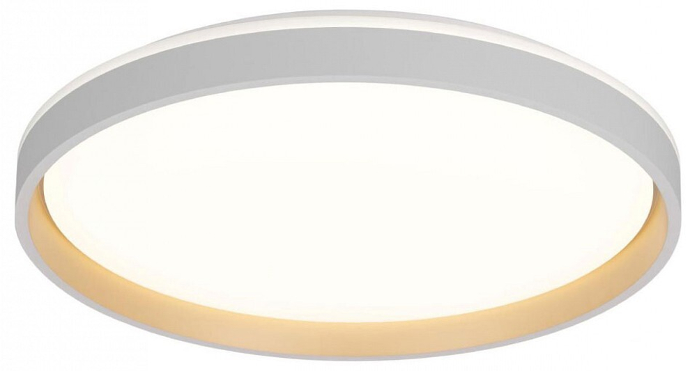 Накладной светильник Citilux ENZO CL753510G