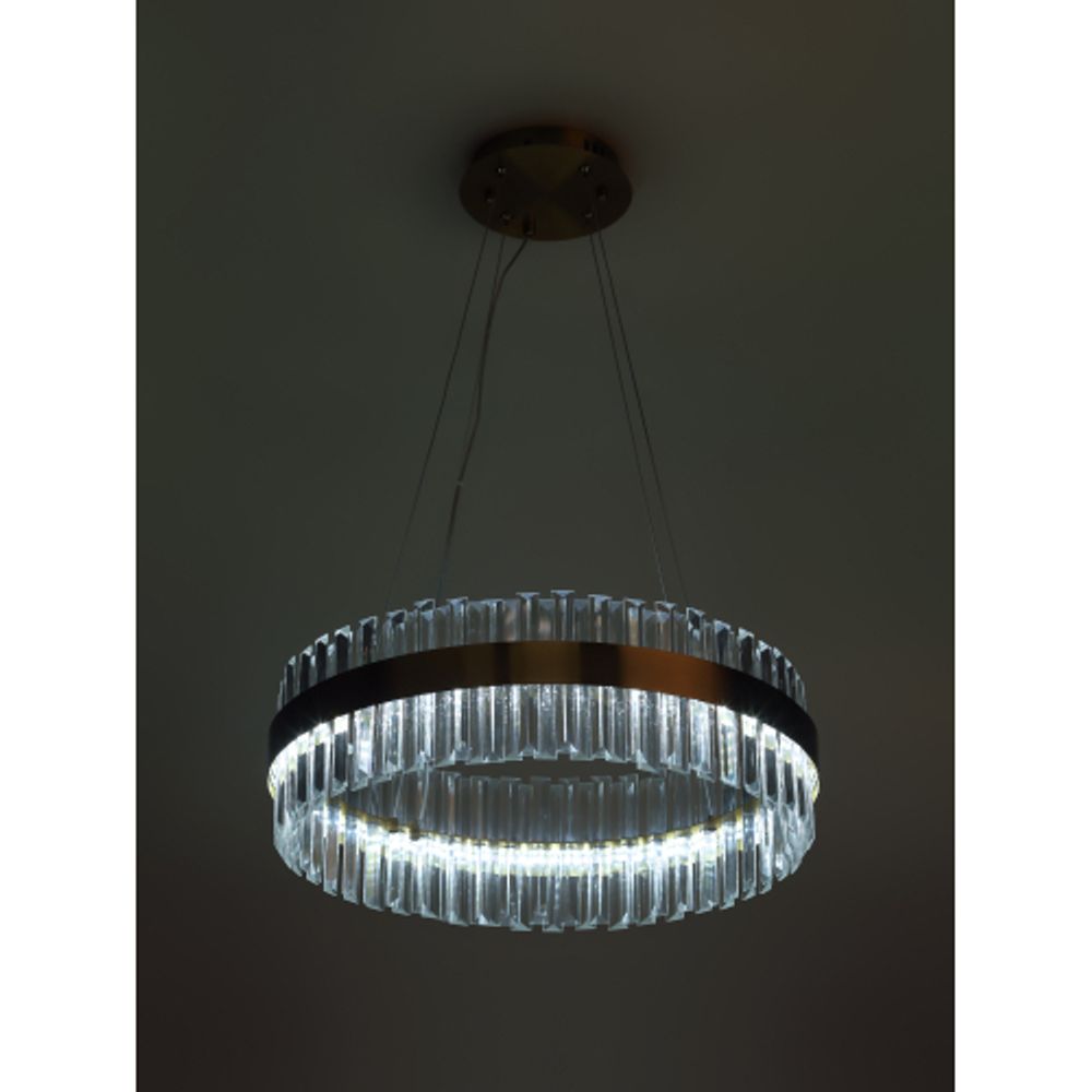 Люстра Rivoli Gwinnett 6193-201 подвесная светодиодная LED 3000-6300К 112 Вт с пультом | Rivoli