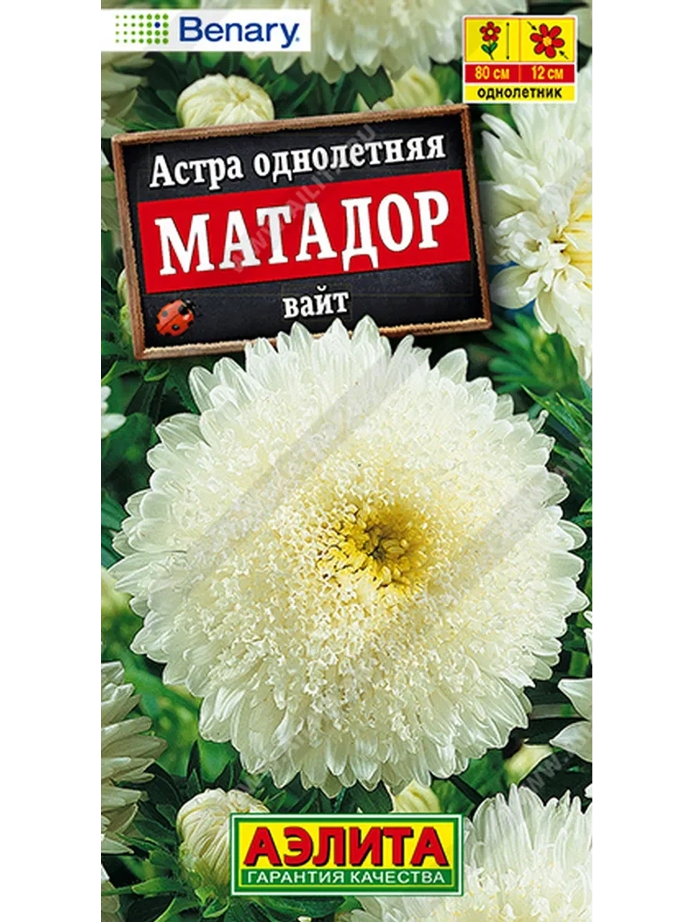 Астра Матадор вайт 10шт. (Аэлита)