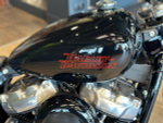 Мотоцикл Harley-Davidson Softail Standard 2024 с полным НДС