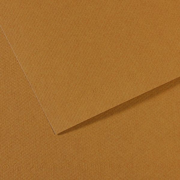 Бумага для пастели Mi-Teintes 160 г/м², 75х110 см, 10 л, №336 Коричневый песчаный, Canson, C31032S143