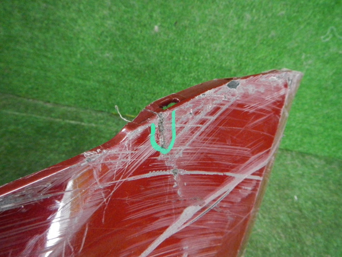 DSCN7959.JPG