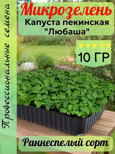 Микрозелень семена Капуста пекинская "Любаша" 10гр