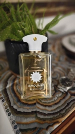 Парфюмерная вода Amouage Beach Hut Man 100 мл Оригинал