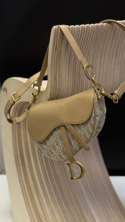 Сумка Christian Dior Saddle