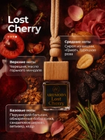 Ароматизатор автомобильный (в ассортименте) 1 шт