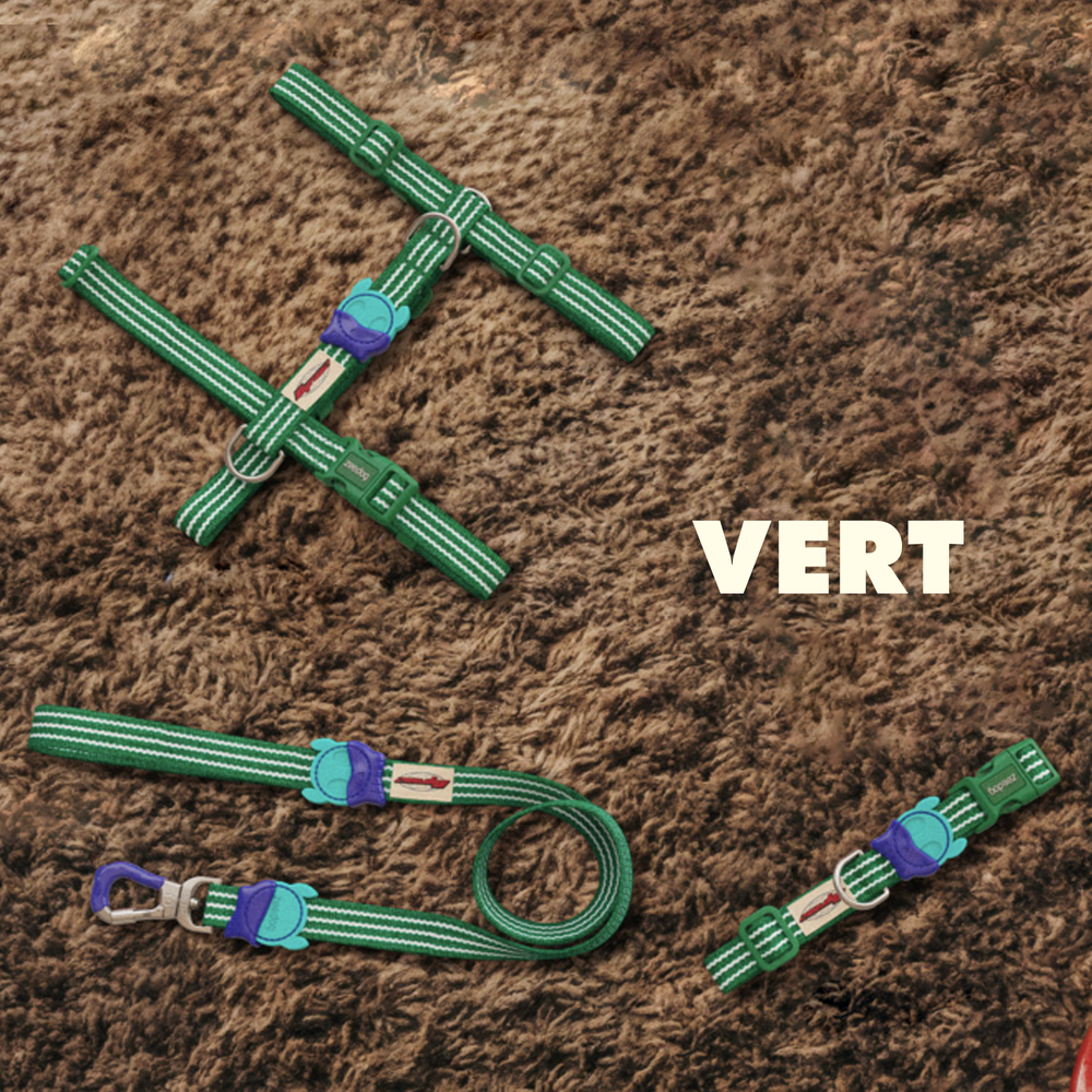 Шлейка VERT VELVET VIBES Zee.Dog