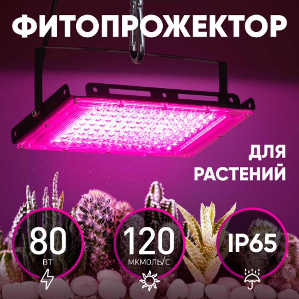 Фитопрожектор для растений светодиодный ЭРА FITO-80W-RB-LED-Y красно-синего спектра | Фито прожекторы