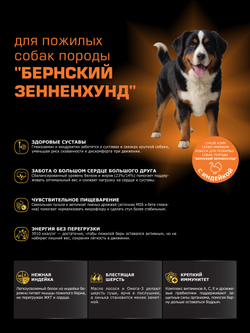 Quattro корм для пожилых собак породы Бернский зенненхунд (5+), с индейкой, 3 кг, QUATTRO