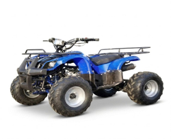 Квадроцикл XCHU 125CC