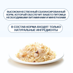 Wanpy Cat Консервы для кошек "Курица с гребешком" 24 шт по 95 г