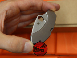 Нож Spyderco Dragonfly 5 C28P