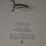 книга " В тайге, у Енисея."